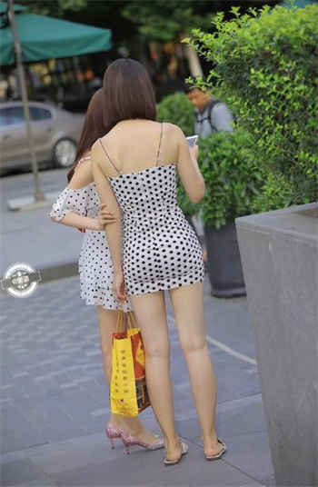 现在有免费相亲网站吗