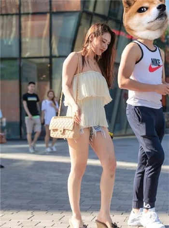 开局狂宠诸葛大力