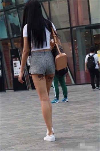 jwlibrary下载安卓版