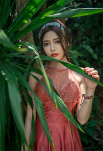 sw336演员