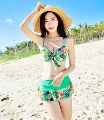 sw261图片