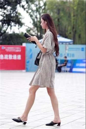 avinght官网入口
