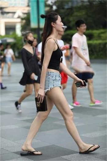 猫咪地域网名入口自动跳转